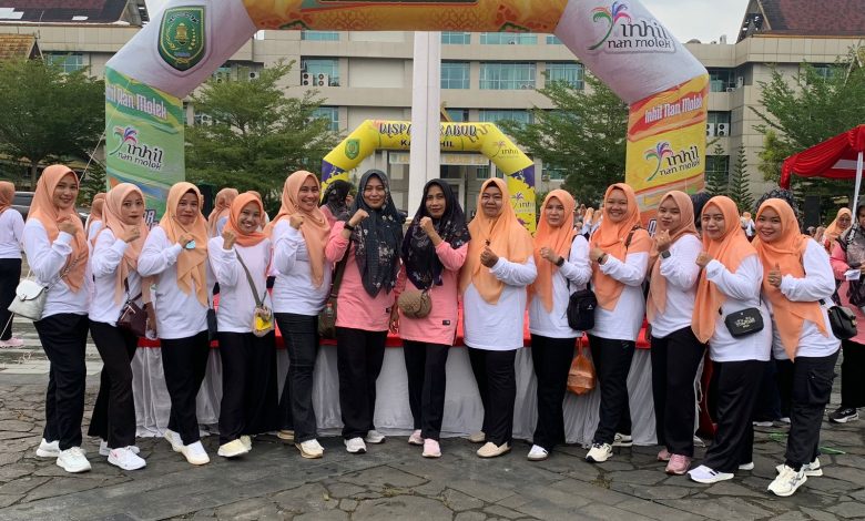 Darmawanita DLHK Inhil